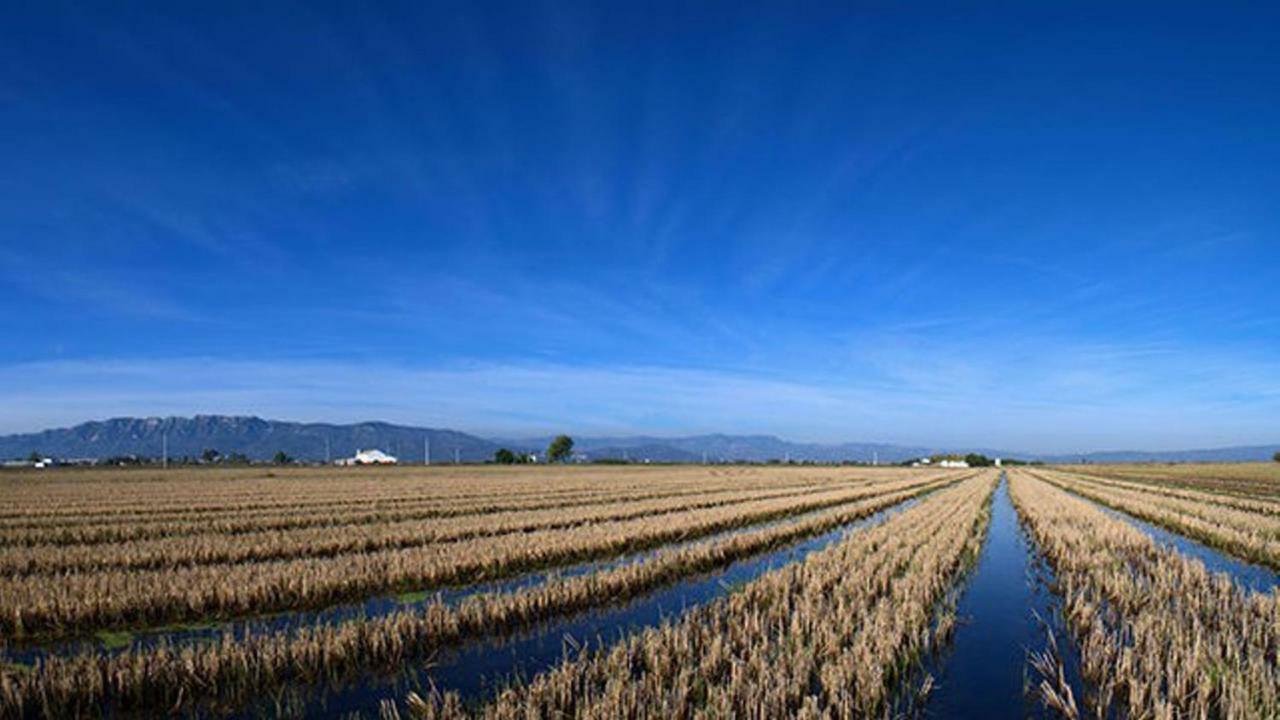 Mi Apartamento En El Delta Del Ebro+ Дельтебре Экстерьер фото